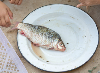 fresh fish crucian in an iron plate