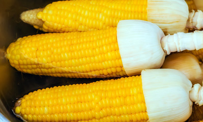 Corn cobs vegetables background