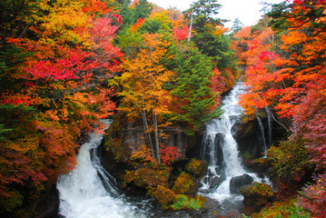 竜頭の滝（日本）と色鮮やかな紅葉