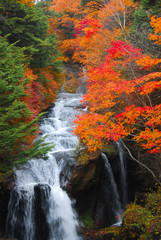 竜頭の滝（日本）と色鮮やかな紅葉