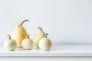 Happy Thanksgiving Background. Selection of various pumpkins on white shelf against white wall....