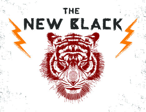 Tiger Illustration Graphic Design Resource