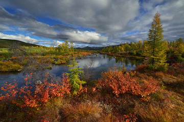 Lake in the forest, Magadan region, Kolyma, Jack London lake