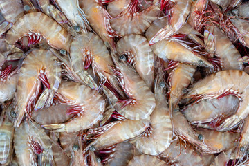 Sea fresh shrimps at street market in Thailand. Seafood concept.