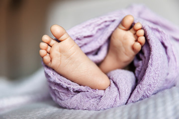 Adorable newborn feet wrapped in purple blanket,  closeup of barefoot