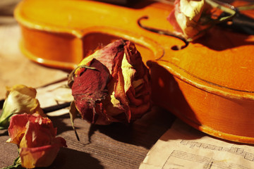 Dried flowers, vintage violin and old sheet music close up. Selective focus.