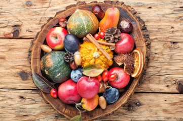 Beautiful autumn composition