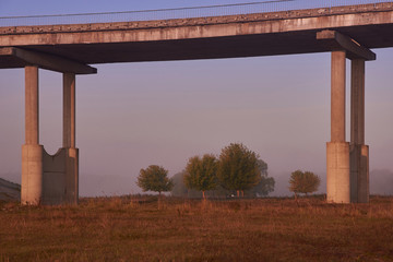 Old concrete collapsing bridge autumn in the autumn foggy morning passing over the meadow.