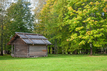 Fototapeta premium A log shed among the trees on an autumn day. Green trees in the sun and a lone barn in a clearing.