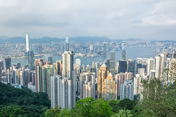 Naklejka premium Skyline of Hong Kong with green trees in the foreground