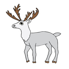 deer2