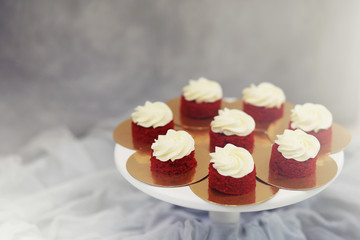 Beautiful festive cake biscuit with different creams