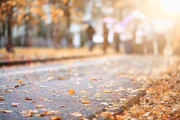 Autumn rain in the park