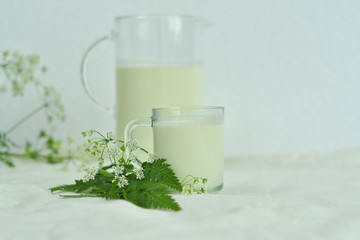 Obraz na płótnie Canvas Glass jug pitcher of fresh milk with glass on white background.Milk concept