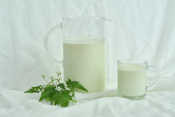 Obraz na płótnie Canvas Glass jug pitcher of fresh milk with glass on white background.Milk concept