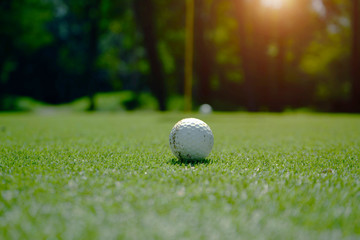 Golf ball on green in beautiful golf course at sunset background.