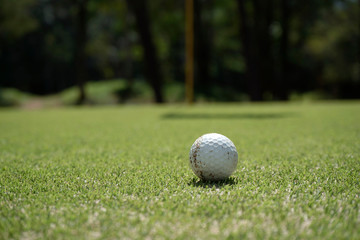 Golf ball on green in beautiful golf course at sunset background.