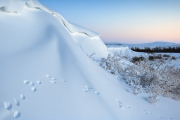 Beautiful winter landscape. Traces of a hare on a snowy slope. Wildlife of Chukotka. Animal tracks in the snow. Morning twilight. Travel and hiking in the Arctic. Chukotka, Siberia, Far East Russia.