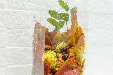 Festive autumn leaves decor in a transparent box