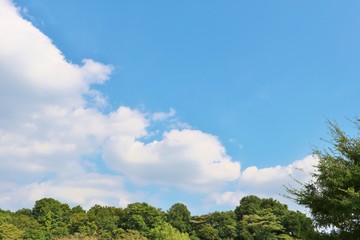 Obraz premium 風景 空 秋 緑 杤木 日本