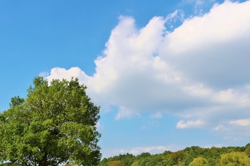 風景　空　秋　緑　杤木　日本