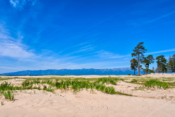 Beautiful white sandy shore with evergreen pines in blue sky background, Lake Baikal Siberia Russia
