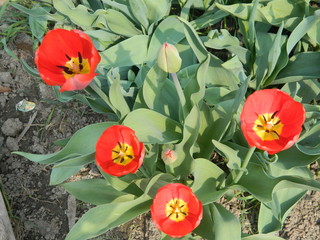 you can watch endlessly