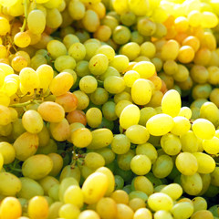 Fruit market. Green grape background, sunlight. Fresh fruit bunches grapes