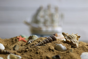 sand shell and sail in sea