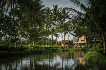 Fototapeta premium Kopi Mpat Cafe, Borobudur Village