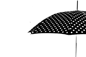 rain drop umbrella isolated
