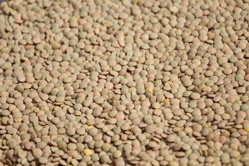 Pulses of extraordinary beautiful color and delicious taste