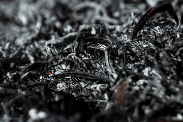 Gray background ashes, burned plants, abstract texture of coals and ashes. Macro shot.