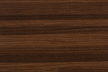 Obraz na płótnie Canvas New beautiful veneer background in brown color. High quality texture in extremely high resolution.