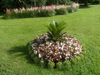  beautiful flowerbed