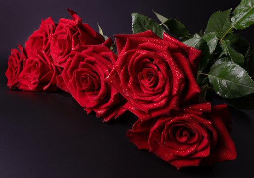 a bouquet of seven scarlet roses is depicted as a card on a dark violet background in the room