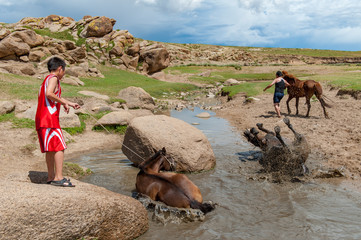 An einer mongolischen Pferdetränke
