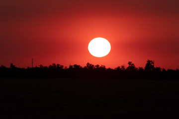 bright red sky at sunset. in the foreground a field of wheat. it dusk on a summer evening