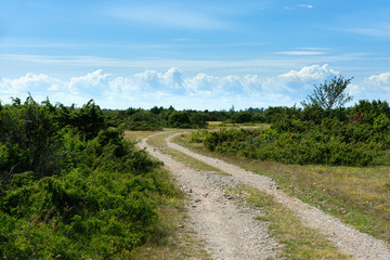 Fototapeta na wymiar Dirt road on the swedish island Oland. The landscape is characteristic for the south of the island and is a kind of prairie on limestone underground. This landscape is called Stora Alvaret.