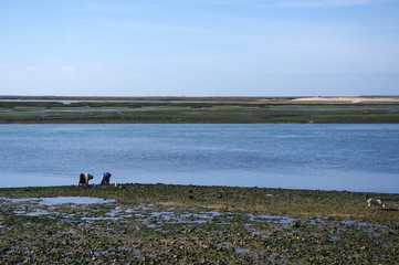 lagune de Faro, Portugal