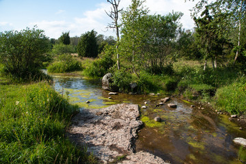 Fototapeta na wymiar Small stream in the east of the island Öland, Sweden. The creek flows into the Baltic Sea at a short distance. Midsummer landscape.