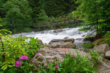 Reinbach Wasserfälle 2019