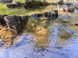 Small creek in the Carpathian mountains inthe autumn season