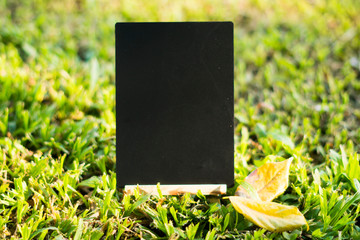 blank chalkboard with copy space Laying on the lawn in the park
