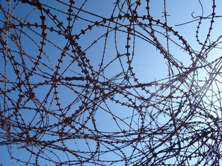rusty old tangled barbed wire against blue sky