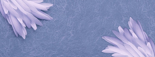 Double Feather Rustic Background Banner - a neat random pile of long white feathers in top left and...