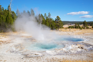Lower geyser basin