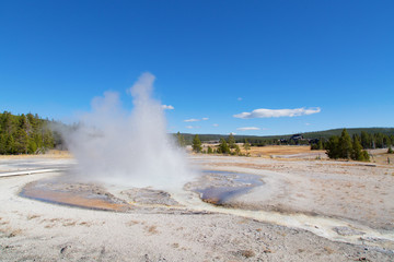 Lower geyser basin