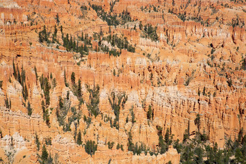 Bryce canyon