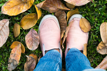 Autumn forest concept standing among the leaves changing colors top view with copyspace